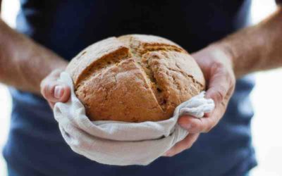 Une libellule, de l’achat local et une fête du pain!